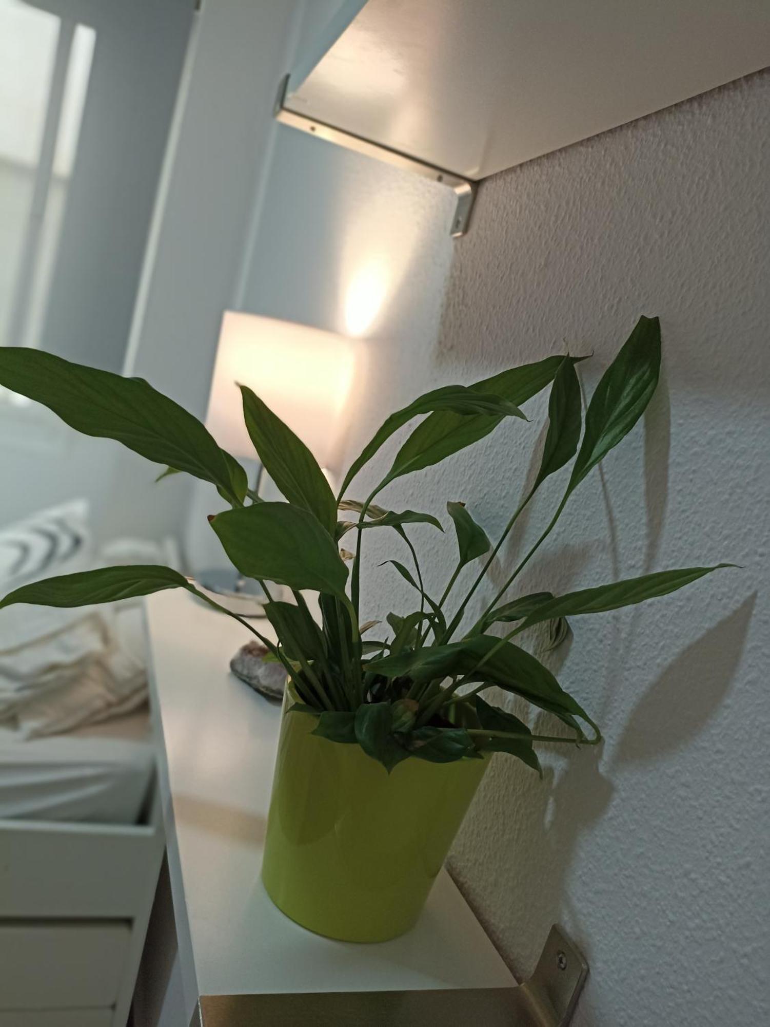 말라가 Confortable Habitacion Centrica En Piso Privado 아파트 외부 사진